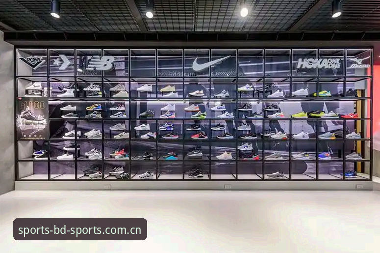 BDSPORTS体育综合下载不了怎么办 BDSPORTS体育综合下载不了实战解决指南